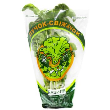 Puchok-Svizhachok Green Basil in Pot ~60g - buy, prices for ULTRAMARKET - photo 1