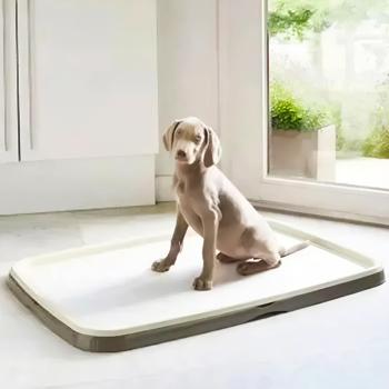 MP Bergamo Gastone L Pannolino Toilet for Dogs 90x60cm - buy, prices for MasterZoo - photo 4