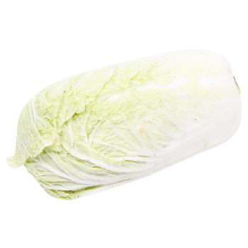 Napa Cabbage - buy, prices for METRO - photo 3