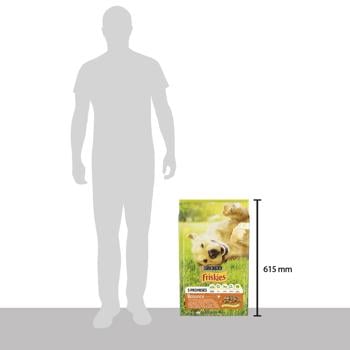Friskies Balance Dry Feed with Chicken, Beef and Vegetables for Adult Dogs 10kg - buy, prices for MasterZoo - photo 3
