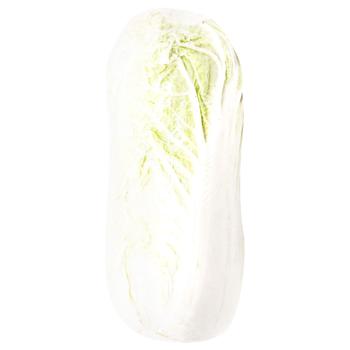 Napa Cabbage - buy, prices for METRO - photo 1