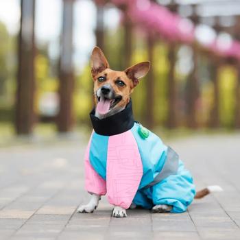 Комбінезон для собак Pet Fashion Milly S такса - купити, ціни на MasterZoo - фото 6