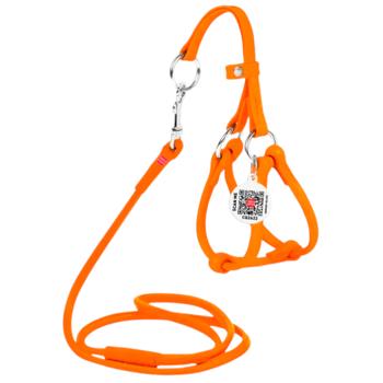 Waudog Glamour Leather Harness with Leash 30-50cm/6mm/105cm Orange
