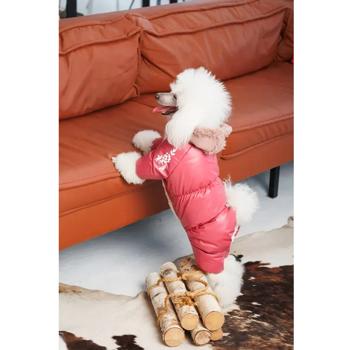 Combination Pet fashion - buy, prices for MasterZoo - photo 4