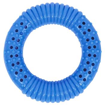 Pet Fun Cooling Ring Dog Toy 10.8x10.8x3.4cm Blue - buy, prices for MasterZoo - photo 1
