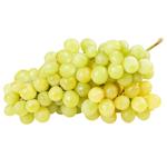 Виноград белый