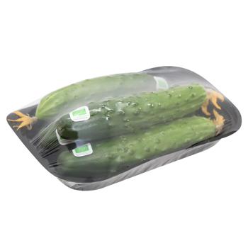 Terra Organic Cucumber - buy, prices for - photo 3