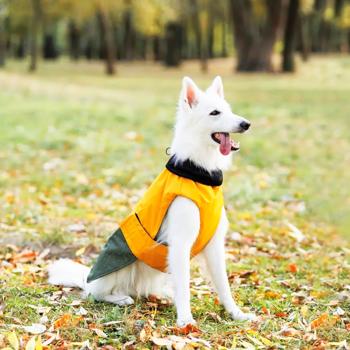 Pet Fashion Roy Body-Cloth for Dogs s.2XL Khaki-mustard - buy, prices for - photo 6