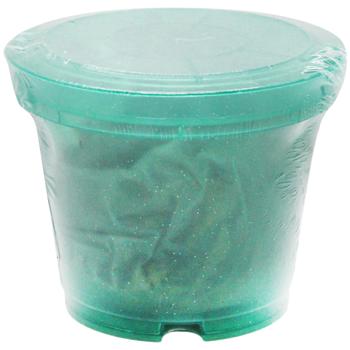 Set with Substrate and Pallet - buy, prices for - photo 8