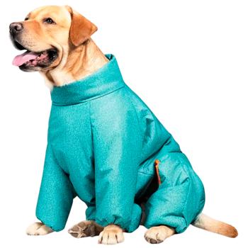 Pet Fashion Cold Raincoat for Dogs s.4XL Turquoise - buy, prices for MasterZoo - photo 4