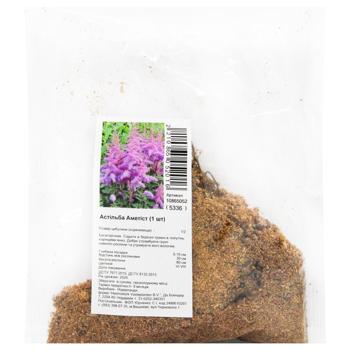 Amethyst Astilbe Rhizome - buy, prices for MegaMarket - photo 1