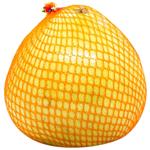 Fruit pomelo fresh