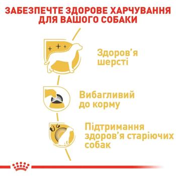 Royal Canin Adult Dry Food with Poultry for Dogs of Yorkshire Terrier Breed 1.5kg+500g - buy, prices for MasterZoo - photo 4
