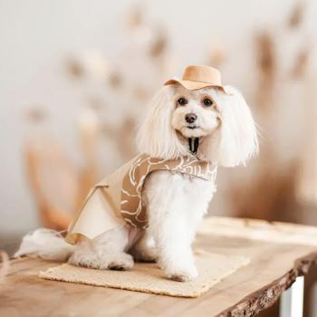 Pet Fashion Ava панама для собак XL - купити, ціни на MasterZoo - фото 4