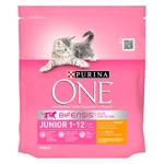 Purina One Junior Dry Food with Chicken for Kittens 450g