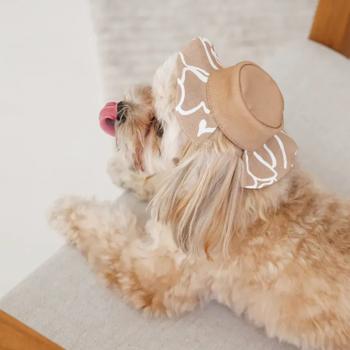 Панама для собак Pet Fashion Print р.L бежевий - купити, ціни на MasterZoo - фото 8