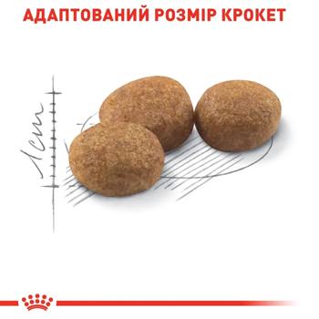 Набір корму Royal Canin Sterilised 37 для стерилізованих котів cухий 2кг + вологий 4шт х 85г - купити, ціни на MasterZoo - фото 6