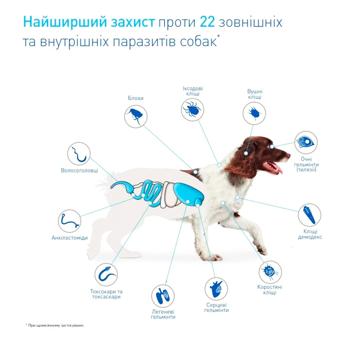 Таблетки Boehringer Ingelheim NexGard Spectra для собак от 2 до 3,5кг от внешних и внутренних паразитов 3шт - купить, цены на MasterZoo - фото 3