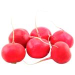 Radish