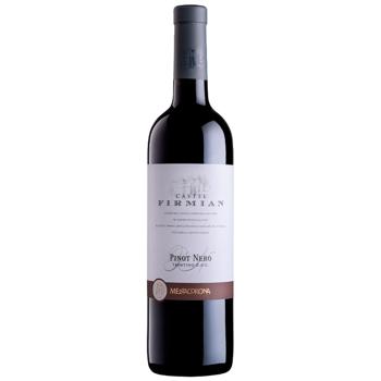 Вино Pinot Nero Castel Firmian DOC черв сухе 13% 0,75л - купити, ціни на AlcoHub - фото 1