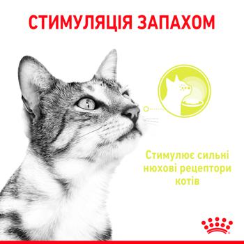 Корм влажный Royal Canin Sensory Smell для привередливых к запаху кошек 85г - купить, цены на MasterZoo - фото 3