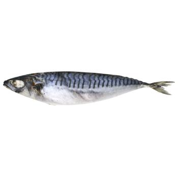 Mackerel - buy, prices for Supermarket "Kharkiv" - photo 1