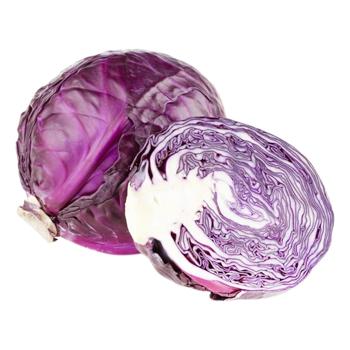 Red Cabbage - buy, prices for NOVUS - photo 1