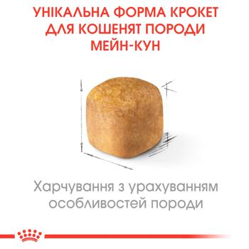 Набор корма Royal Canin с домашней птицей для котят породы мейн-кун сухой 2кг + влажный 12 х 85г + интерактивная кормушка - купить, цены на - фото 8