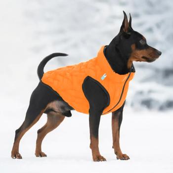 AiryVest Uni Dog Jacket s.S38 Orange-Black - buy, prices for - photo 4