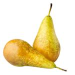 Fruit pear conference pears fresh
