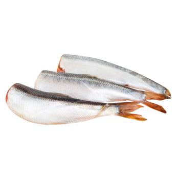 Fresh Frozen Baltic Herring without Head - buy, prices for - photo 1