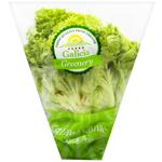 Galicia Greenery Lollo Biondo Lettuce in Pot ~100г