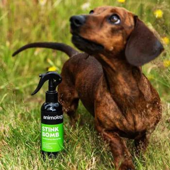 Spray 250ml - buy, prices for MasterZoo - photo 5