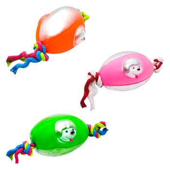 Ball with a Rope Toy for Dogs 35cm