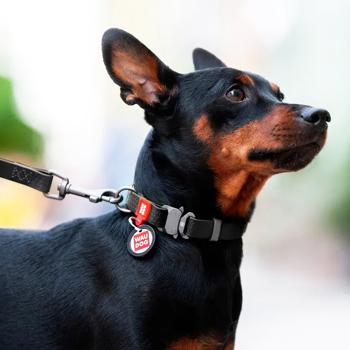 Нашийник для собак Collar Waudog Waterproof XL - чорний - купити, ціни на MasterZoo - фото 3