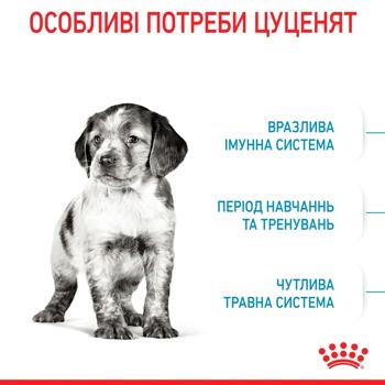 Корм сухий Royal Canin Medium Puppy з домашньою птицею для цуценят середніх порід 3кг - купити, ціни на MasterZoo - фото 2