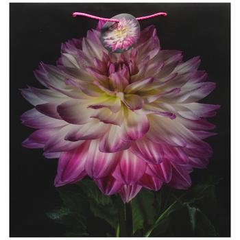 Пакет подарочный Art studio of Happines GB-24173 35х37х12см