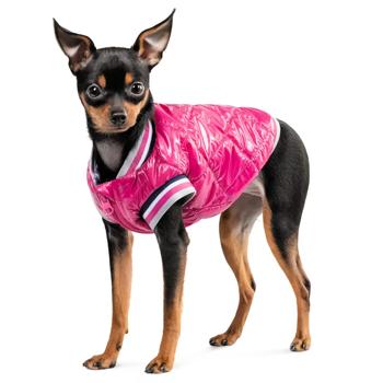 Pet Fashion Grace Bomber Jacket for Dogs s.S - buy, prices for - photo 2