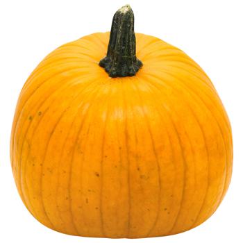 Connecticut Pumpkin - buy, prices for METRO - photo 1