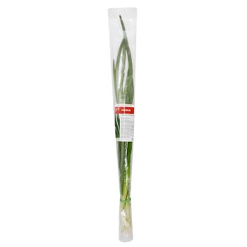Marka Promo Green Onions Bunch 50g - buy, prices for NOVUS - photo 1