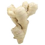 Ginger