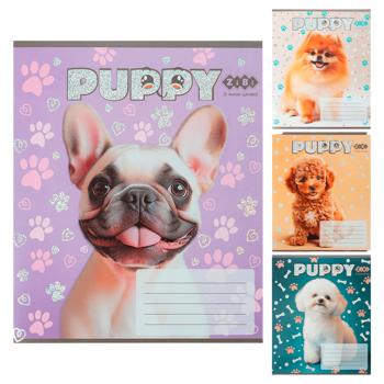 ZiBi Dogs Oblique Line Notebook 12 Sheets in Assortment