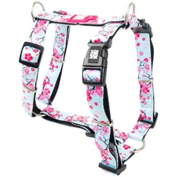 Leash Max and molly Germany - buy, prices for MasterZoo - photo 2