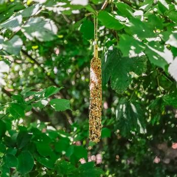 Delicacy Trixie millet 170g Germany - buy, prices for MasterZoo - photo 4