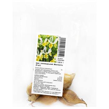 Montecito Dutch Iris Bulbs 5pcs - buy, prices for ULTRAMARKET - photo 1