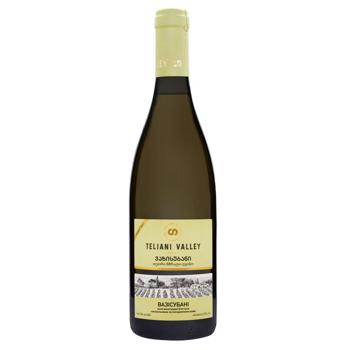 Teliani Valley Vazisubani White Dry Wine 12% 0.75l - buy, prices for NOVUS - photo 1
