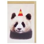 Kinza Greeting Postcard