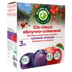 Gadz Apple Plum  Smoothie Juice 3l