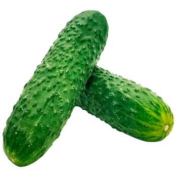 Vegetables cucumber Without brand Turkey - buy, prices for Supermarket "Kharkiv" - photo 1