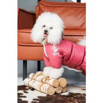 Combination Pet fashion - buy, prices for MasterZoo - photo 7